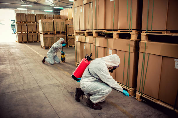 Best Exterminator Services  in Oli, PA