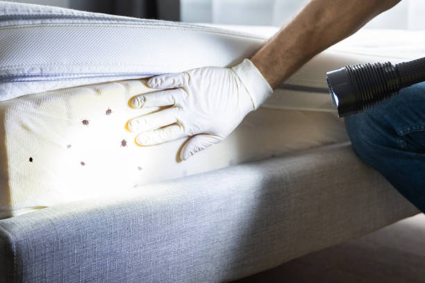 Best Pest Control Near Me in Paoli, PA
