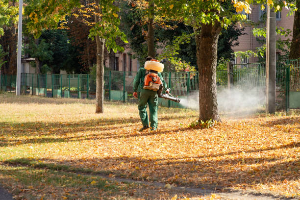 Insect Control in Paoli, PA
