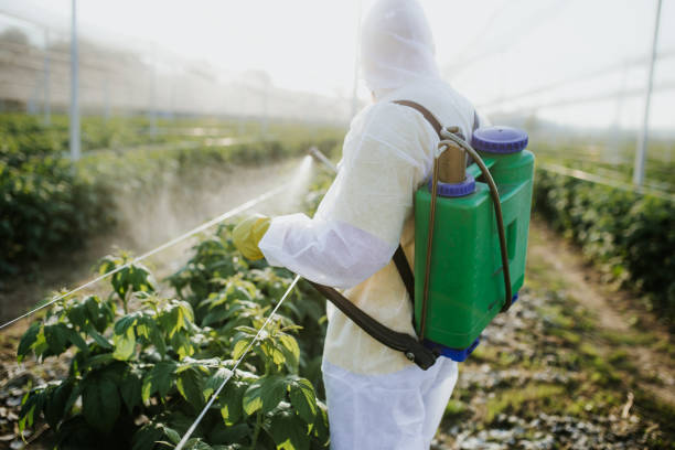 Best Bed Bug Extermination  in Oli, PA